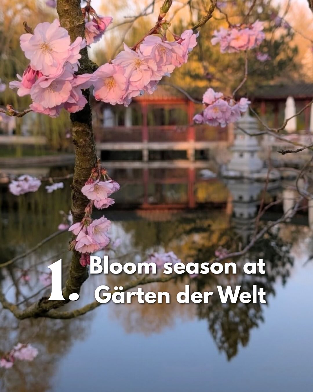 My Berlin Spring List — Part 2