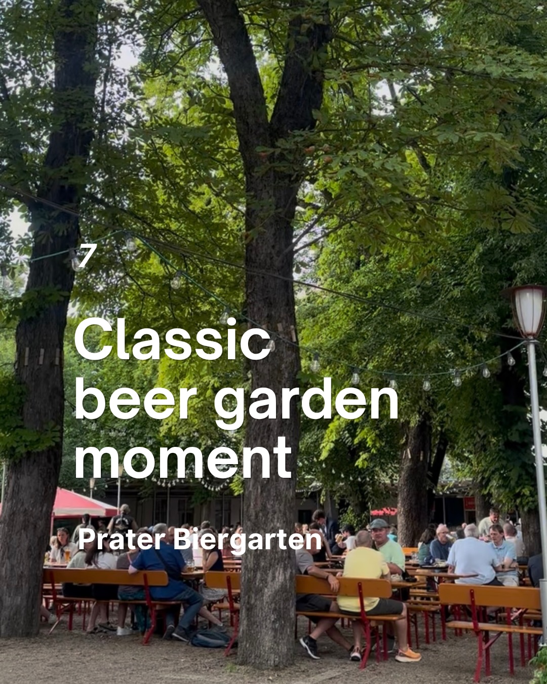 7
Classic beer garden moment
Prater Biergarten