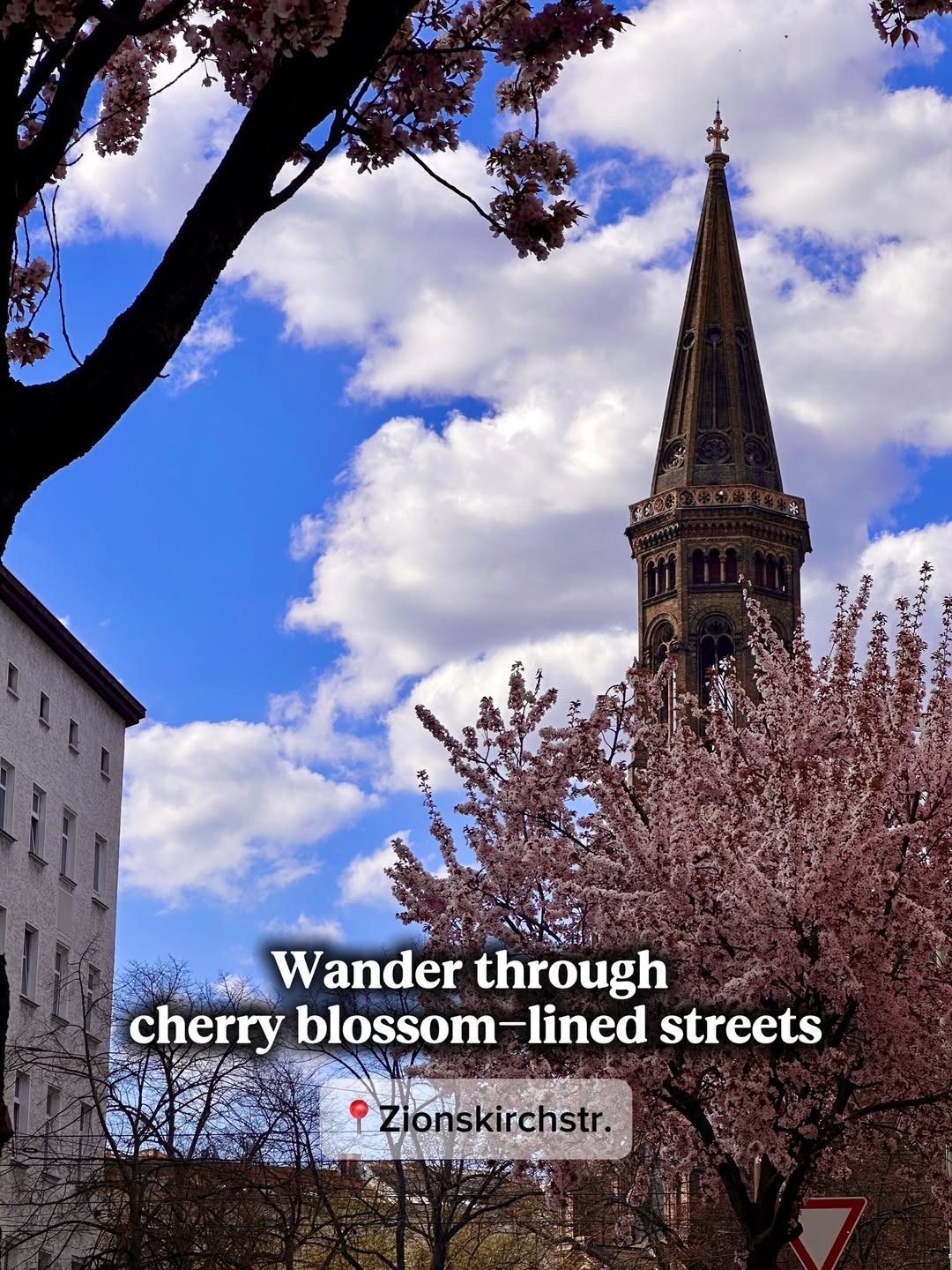 Wander through cherry blossom-lined streets