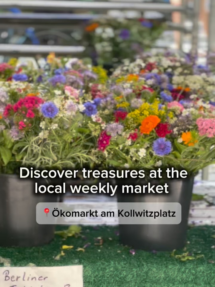 Discover treasures at the local weekly market